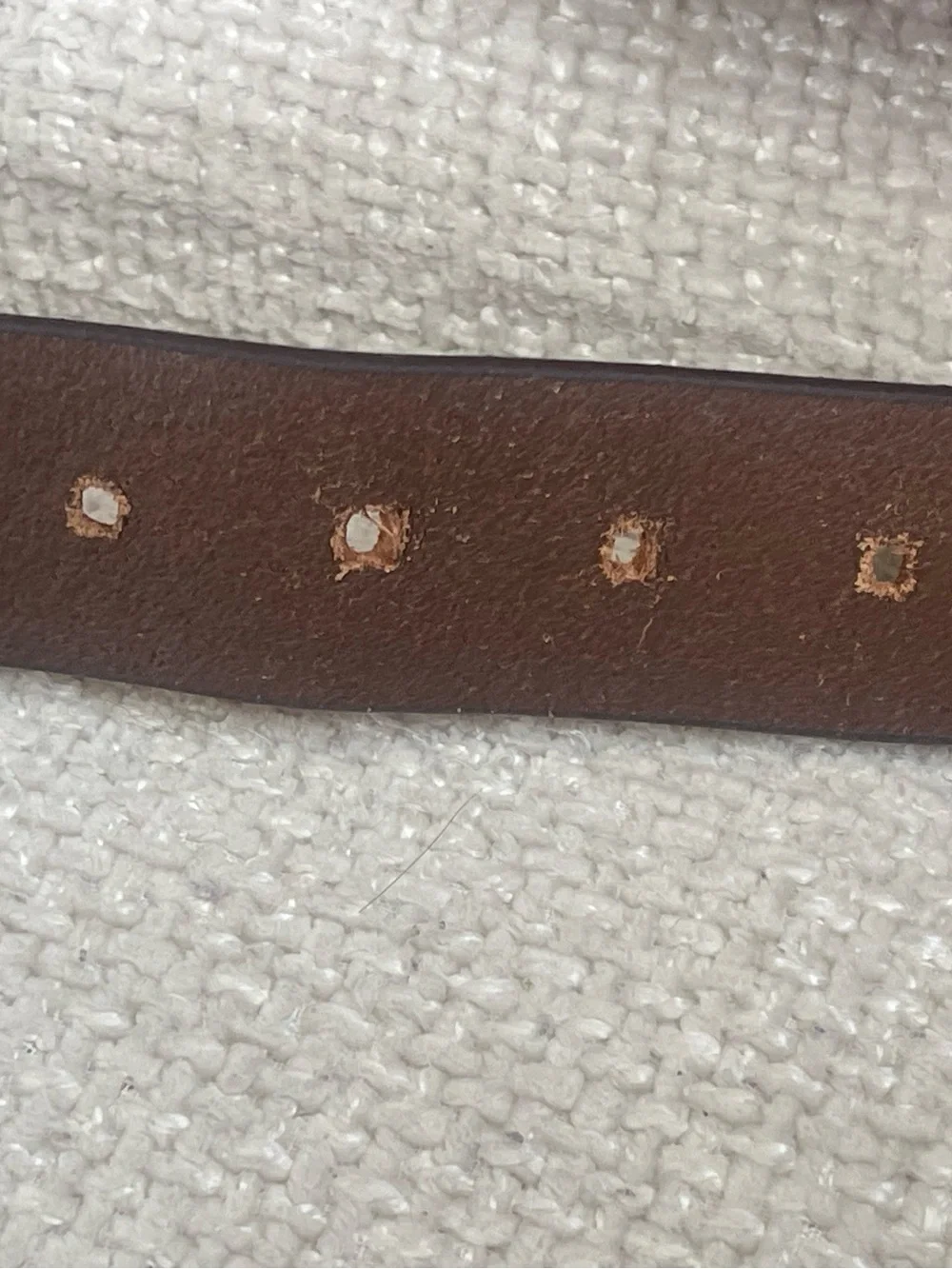Tampa Bay Rays Eagles Wings leather belt size 38 genuine leather
